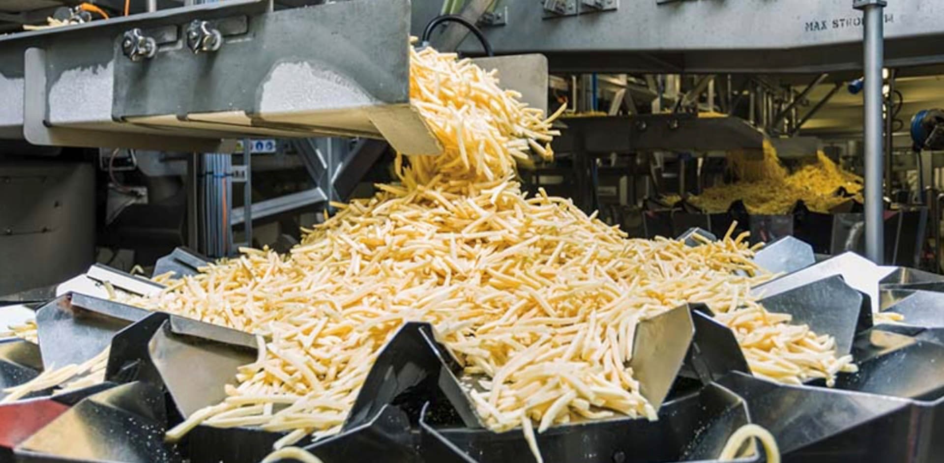 Food processing facility with stainless steel equipment