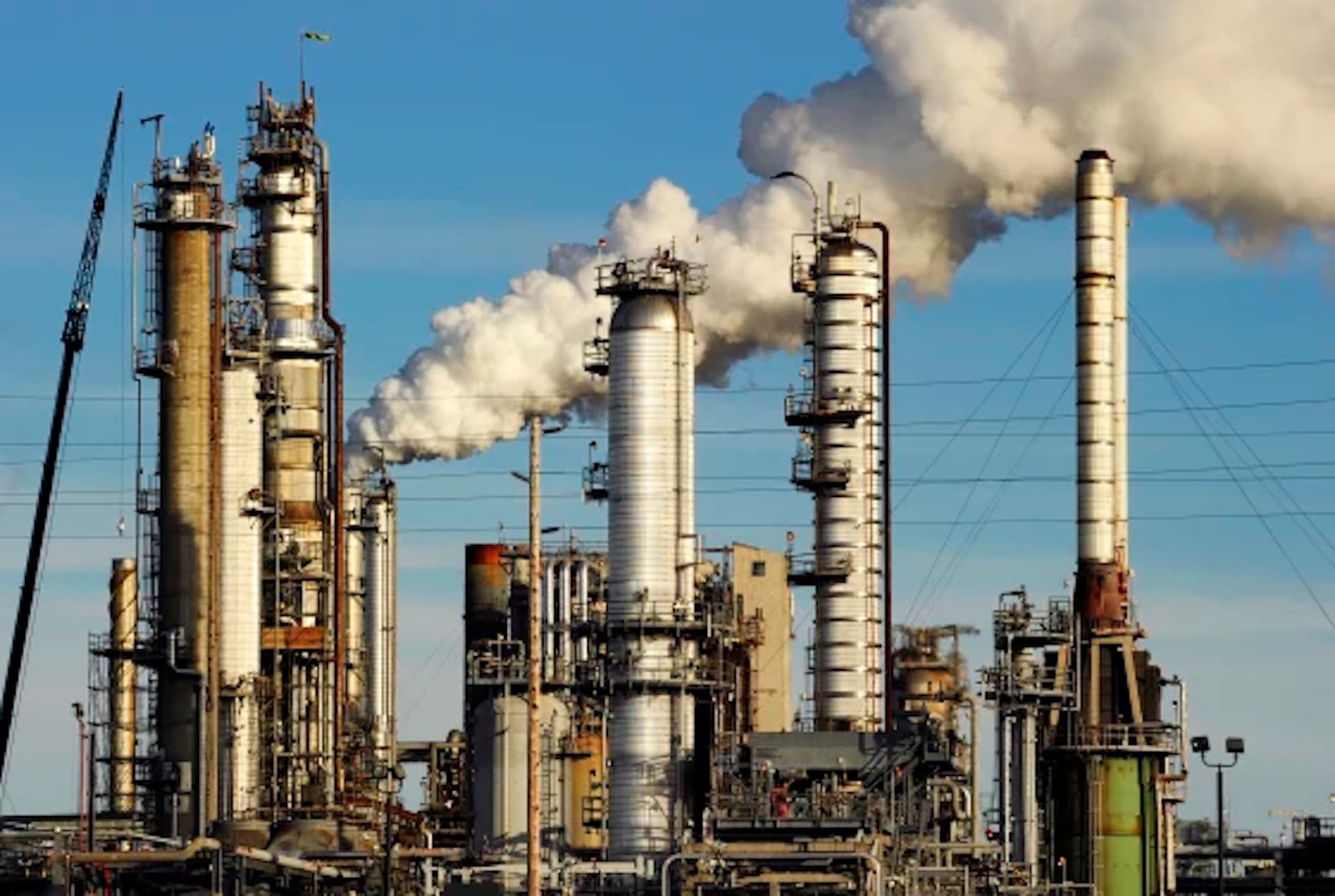 Industries we serve